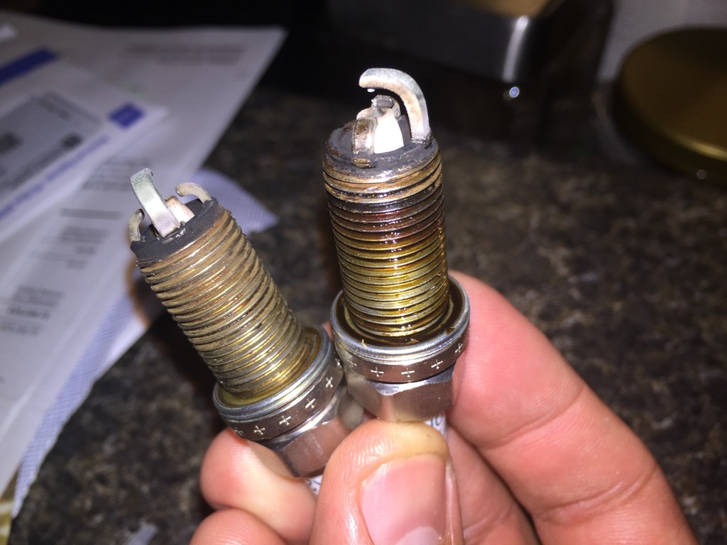 oil in spark plug