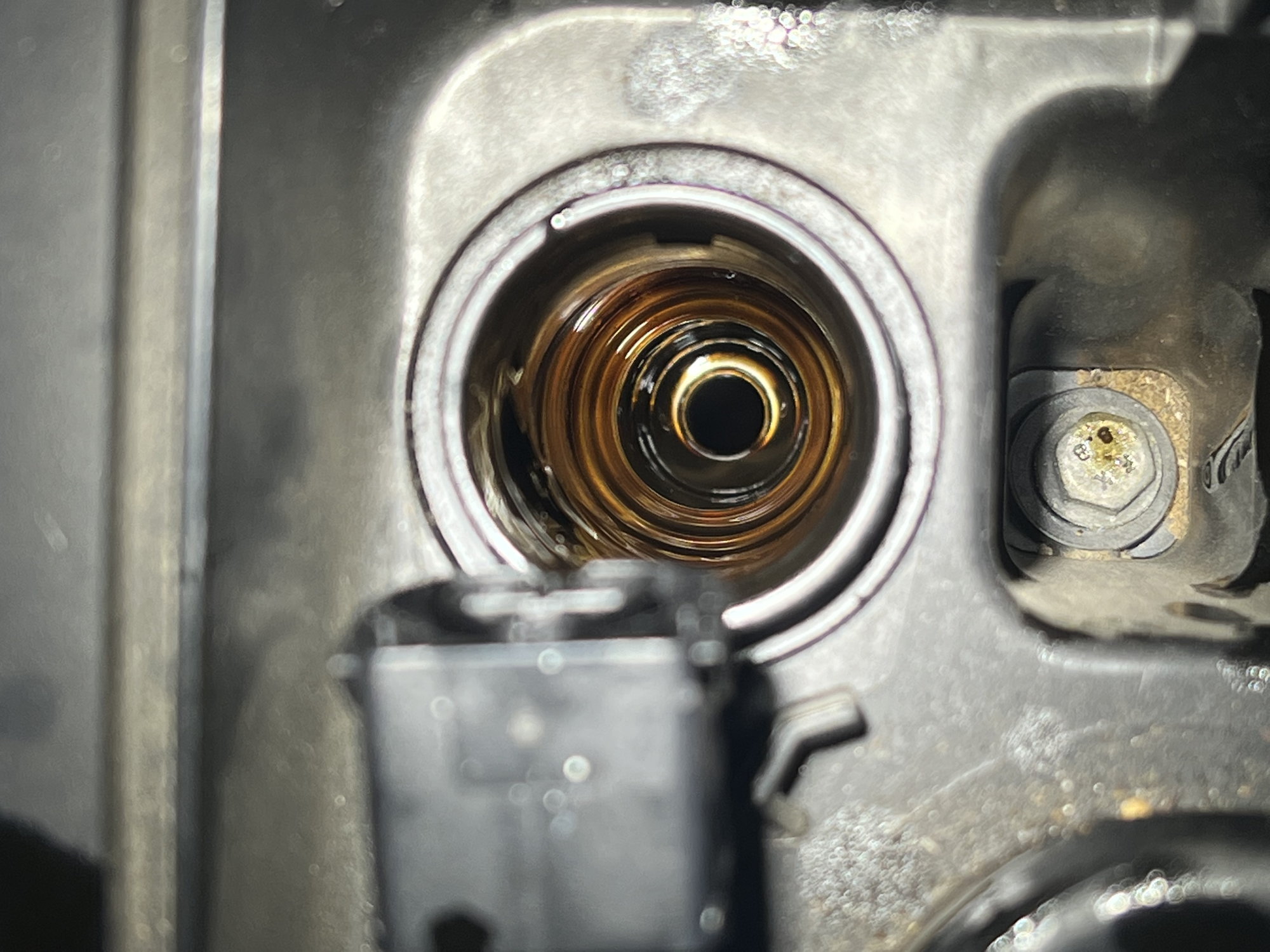 oil in spark plug